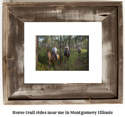 horse trail rides near me in Montgomery, Illinois